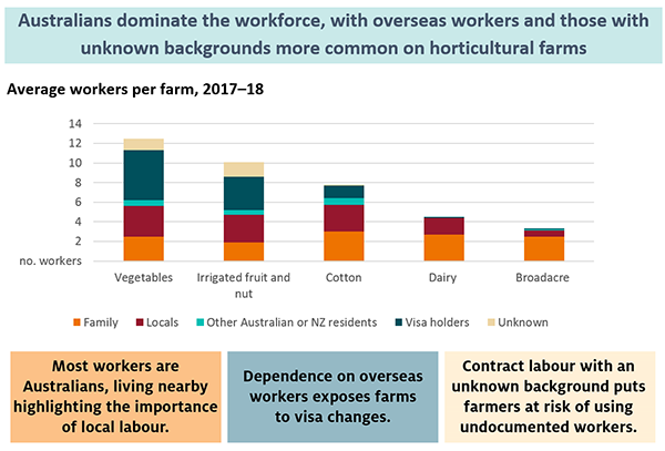 Australians dominate the workforce, with overseas workers and those with unknown backgrounds more common on horticultural farms.    Shows average number of workers sourced from: family, locals, Australian or NZ, visa holder and unknown; on vegetable, fruit & nut, cotton, dairy and broadacre farms. Dairy, cotton and broadacre farms predominantly sourced locals and family workers. Vegetable and fruit & nut predominantly sourced visa holders, family and local workers. Vegetable and fruit & nut farms sourced around 10% of workers from unknown backgrounds.   Most workers are Australians, living nearby highlighting the importance of local labour. Dependence on overseas workers exposes farms to visa changes.  Contact labour with an unknown background puts farmers at risk of using undocumented workers.