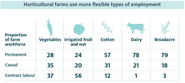 Shows proportion of workers hired in permanent, casual and contract labour roles by vegetable, fruit & nut, cotton, dairy and broadacre farms. Vegetable and fruit & nut farms hired more casual and contract workers.