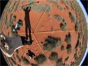 Measuring fractional ground cover using discrete point sampling along three star shaped transects within a pastoral environment.