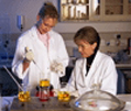 Image of Scientists working in a lab