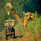 Graphic: Sugar harvester at work.