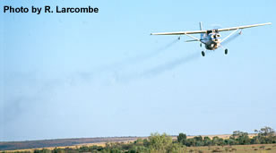 A plane aerial spraying for locusts