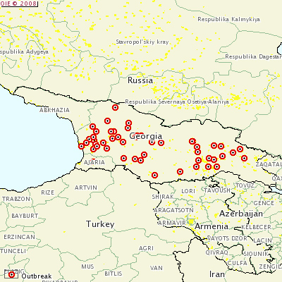 Map showing where outbreaks of African Swine Fever have occurred in Georgia (Eastern Europe)