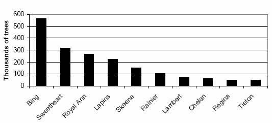 Top Oregon sweet cherry varieties total trees of all ages (Bing (highest), followed by Sweetheart, Royal Ann, Lapins, Skeena, Rainer, Lambert, Chelan, Regina and Tieton (lowest))