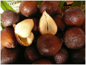 Salacca fruit skin giving the appearance of a snake or reptile skin.