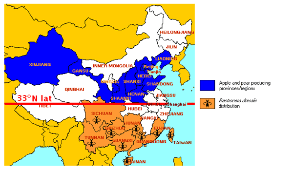 Figure 1 Apple and pear production areas and fruit fly distribution in China