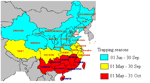 Figure 4 NFFTN fruit fly trapping seasons in China