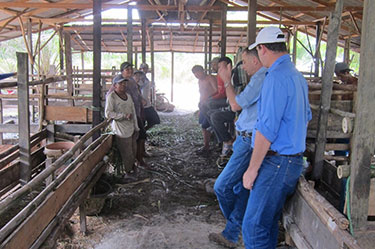 Greg Smith talking to farmers in one of the farmer cooperatives, alongside Stuart Kemp (NT LEA)  Acknowledgement: Neil McDonald, NT DPIR  