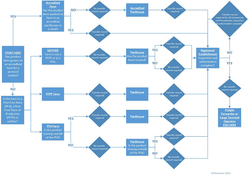 Flow chart outlining the new phytosanitary security policy

Start Here. Has the product been grown on an accredited farm for a protocol market? If yes, has the product been packed on a farm in an accredited packhouse or in-field? If no, no transfer record is required for the product to move to an accredited packhouse. From an accredited packhouse, a transfer record is required for the product to move to a Registered Establishment. At the Registered Establishment, are inspection and authorisation complete? If inspection and authorisation are not complete, a transfer record will be required for all movements until treatments, inspection and authorisation are complete. If the inspection and authorisation are complete, no transfer record is required for the product to move to the freight forwarder or cargo terminal operator. The process ends here.

Start Here. Has the product been grown on an accredited farm for a protocol market? If yes, has the product been packed on a farm in an accredited packhouse or in-field? If yes, a transfer record is required for the product to move to a Registered Establishment. At the Registered Establishment, are inspection and authorisation complete? If inspection and authorisation are not complete, a transfer record will be required for all movements until treatments, inspection and authorisation are complete. If the inspection and authorisation are complete, no transfer record is required for the product to move to the freight forwarder or cargo terminal operator. The process ends here.

Start Here. Has the product been grown on an accredited farm for a protocol market? If no, is the farm in a pest free area (PFA), a pest free place of production (PFPP) or neither? If neither (farm is not a PFPP or in a PFA), no transfer record is required for the product to move to the packhouse. At the packhouse, if the product has been treated, a transfer record is required for the product to move to the Registered Establishment. If the product has not been treated, no transfer record is required for the product to move to the Registered Establishment. At the Registered Establishment, are inspection and authorisation complete? If inspection and authorisation are not complete, a transfer record will be required for all movements until treatments, inspection and authorisation are complete. If the inspection and authorisation are complete, no transfer record is required for the product to move to the freight forwarder or cargo terminal operator. The process ends here.

Start Here. Has the product been grown on an accredited farm for a protocol market? If no, is the farm in a pest free area (PFA), a pest free place of production (PFPP) or neither? If the farm is a PFPP, a transfer record is required for the product to move to the packhouse, and then onto the Registered Establishment. At the Registered Establishment, are inspection and authorisation complete? If inspection and authorisation are not complete, a transfer record will be required for all movements until treatments, inspection and authorisation are complete. If the inspection and authorisation are complete, no transfer record is required for the product to move to the freight forwarder or cargo terminal operator. The process ends here.

Start Here. Has the product been grown on an accredited farm for a protocol market? If no, is the farm in a pest free area (PFA), a pest free place of production (PFPP) or neither? If the farm is a PFA, is the product moving outside of the PFA to get to the packhouse? If yes, a transfer record is required for the product to move to the packhouse, and also for onto the Registered Establishment. At the Registered Establishment, are inspection and authorisation complete? If inspection and authorisation are not complete, a transfer record will be required for all movements until treatments, inspection and authorisation are complete. If the inspection and authorisation are complete, no transfer record is required for the product to move to the freight forwarder or cargo terminal operator. The process ends here.

Start Here. Has the product been grown on an accredited farm for a protocol market? If no, is the farm in a pest free area (PFA), a pest free place of production (PFPP) or neither? If the farm is a PFA, is the product moving outside of the PFA to get to the packhouse? If no, no transfer record is required to move the product to the packhouse. Is the product moving outside of the PFA from the packhouse to the Registered Establishment? If yes, a transfer record is required. If no, no transfer record is required. At the Registered Establishment, are inspection and authorisation complete? If inspection and authorisation are not complete, a transfer record will be required for all movements until treatments, inspection and authorisation are complete. If the inspection and authorisation are complete, no transfer record is required for the product to move to the freight forwarder or cargo terminal operator. The process ends here.