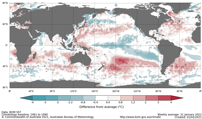 Map showing the global sea surface temperature observations difference from average during the previous week. The climatology baseline used is 1961 to 1990. Image provided by the Bureau of Meteorology. Please refer to accompanying text for a more detailed description.