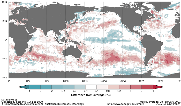 Map showing the global sea surface temperature observations difference from average during the previous week. The climatology baseline used is 1961 to 1990. Image provided by the Bureau of Meteorology. Please refer to accompanying text for a more detailed description.