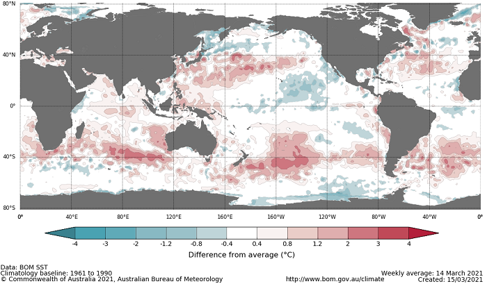 Map showing the global sea surface temperature observations difference from average during the previous week. The climatology baseline used is 1961 to 1990. Image provided by the Bureau of Meteorology. Please refer to accompanying text for a more detailed description.