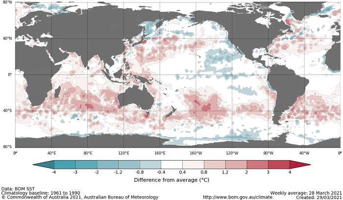 Map showing the global sea surface temperature observations difference from average during the previous week. The climatology baseline used is 1961 to 1990. Image provided by the Bureau of Meteorology. Please refer to accompanying text for a more detailed description.