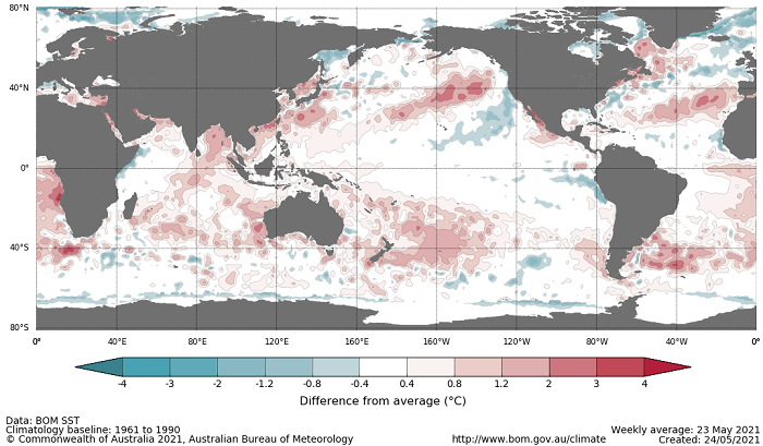 Map showing the global sea surface temperature observations difference from average during the previous week. The climatology baseline used is 1961 to 1990. Image provided by the Bureau of Meteorology. Please refer to accompanying text for a more detailed description.