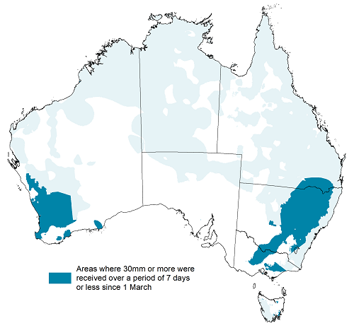 Map showing the areas where 30 millimetres or more were received over a period of 7 days or less since 1 March in Australia. Areas that achieved this are shown in blue, with southern pasture and cropping areas that achieved this shown in dark blue. Please refer to accompanying text for a more detailed description.