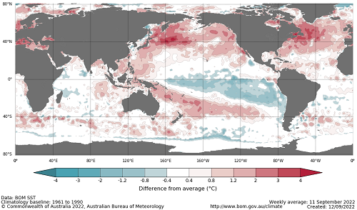 Map showing the global sea surface temperature observations difference from average during the previous week. The climatology baseline used is 1961 to 1990. Image provided by the Bureau of Meteorology. Please refer to accompanying text for a more detailed description.