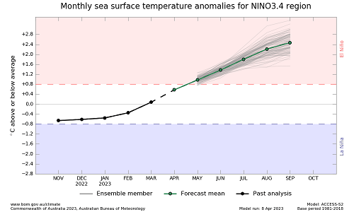 Graph showing the plume forecast values of NINO 3.4 SST by the Bureau of Meteorology ACCESS-S model. Please refer to accompanying text for a more detailed description.