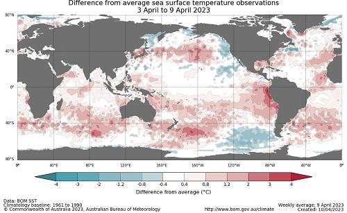 Map showing the global sea surface temperature observations difference from average during the previous week. The climatology baseline used is 1961 to 1990. Image provided by the Bureau of Meteorology. Please refer to accompanying text for a more detailed description.