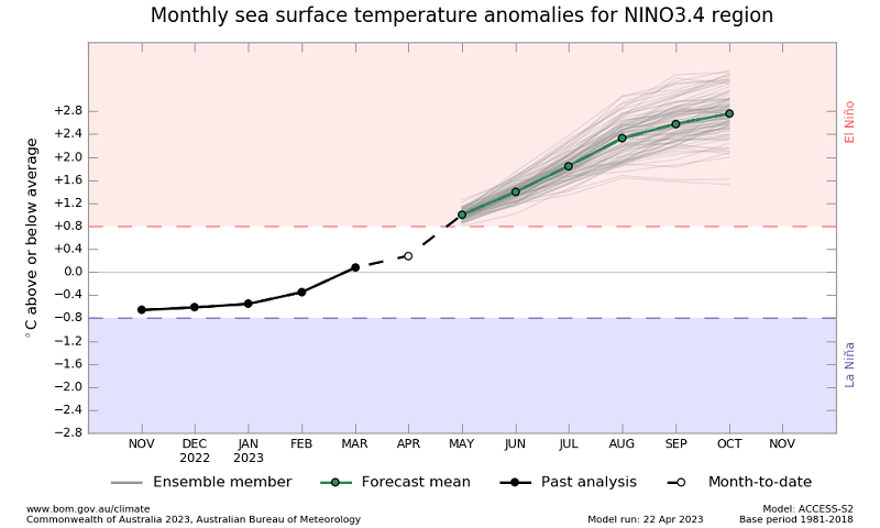 Graph showing the plume forecast values of NINO 3.4 SST by the Bureau of Meteorology ACCESS-S model. Please refer to accompanying text for a more detailed description.