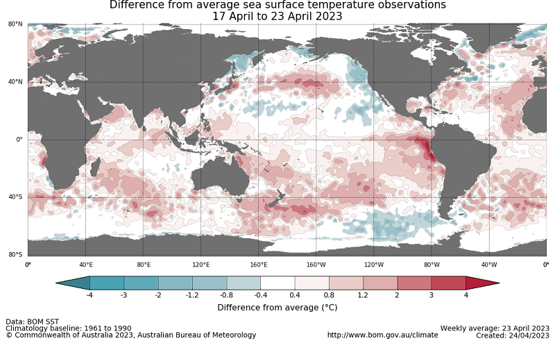 Map showing the global sea surface temperature observations difference from average during the previous week. The climatology baseline used is 1961 to 1990. Image provided by the Bureau of Meteorology. Please refer to accompanying text for a more detailed description.