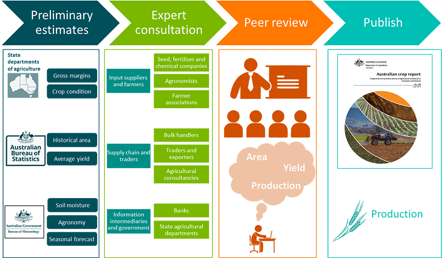 The forecasting process for the Australian crop report