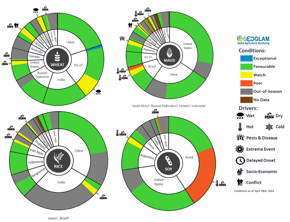 Figure showing wheat, maize, rice and soy conditions for AMIS countries during the previous month. Image provided by AMIS. Please refer to accompanying text for a more detailed description.