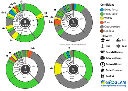 Figure showing wheat, maize, rice and soy conditions for AMIS countries during the previous month. Image provided by AMIS. Please refer to accompanying text for a more detailed description