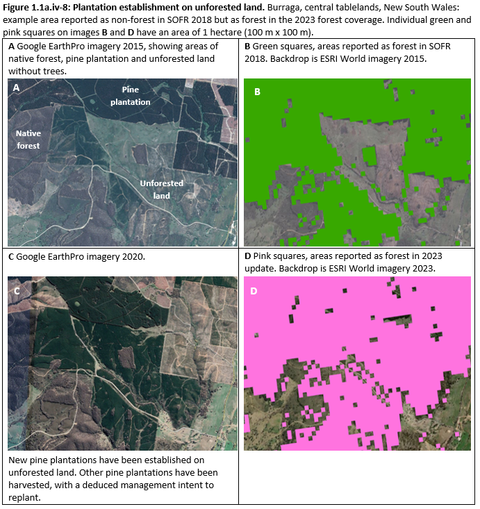 Figure 1.1a.iv-8: Plantation establishment on unforested land