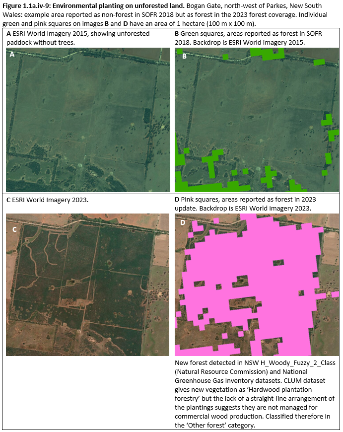 Figure 1.1a.iv-9: Environmental planting on unforested land