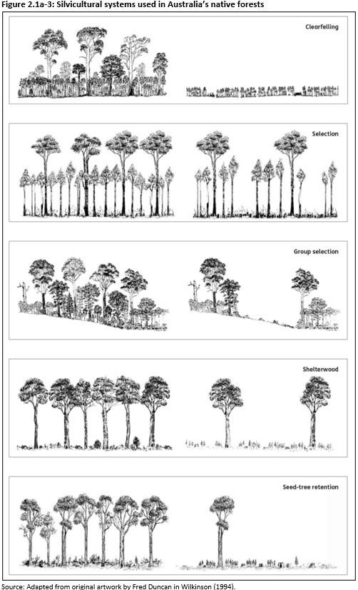 Figure 2.1a-3: Silvicultural systems used in Australia’s native forests. Shows examples of silvicultural system types used in Australia.