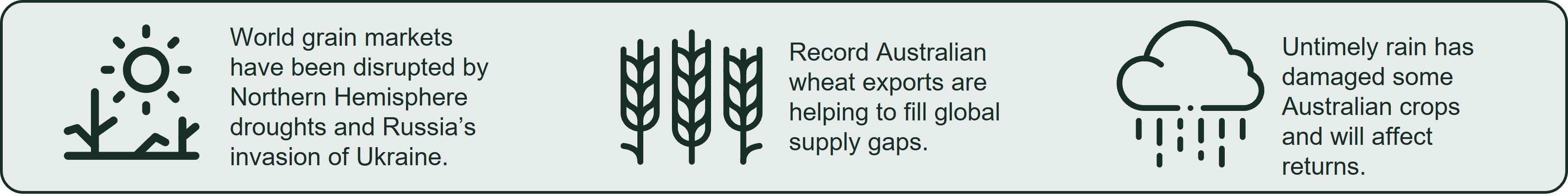 World grain markets have been disrupted by Northern Hemisphere droughts and Russia’s invasion of Ukraine text next to a picture of a sun.   Record Australian wheat exports are helping to fill global supply gaps text next to a picture of wheat.   Untimely rain has damaged some Australian crops and will affect returns text next to a picture of a raincloud. 