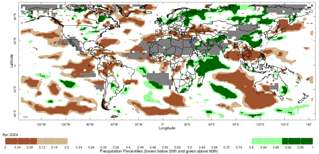 Map showing global monthly precipitation percentiles below the 20th percentile and above the 80th percentile. This map uses the climatology baseline of 1991 to 2020 for the month analysed. 