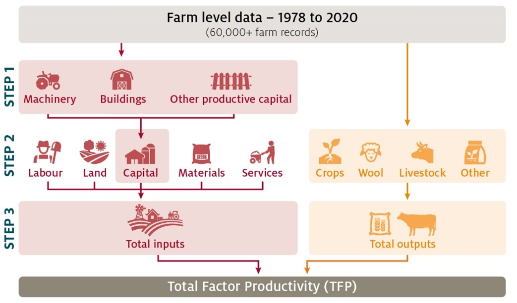 Productivity introduction - DAFF