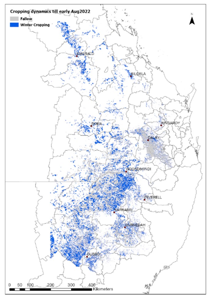 Map of winter cropping regions in northern New South Wales and southern Queensland, with a significant portion of area left fallow.