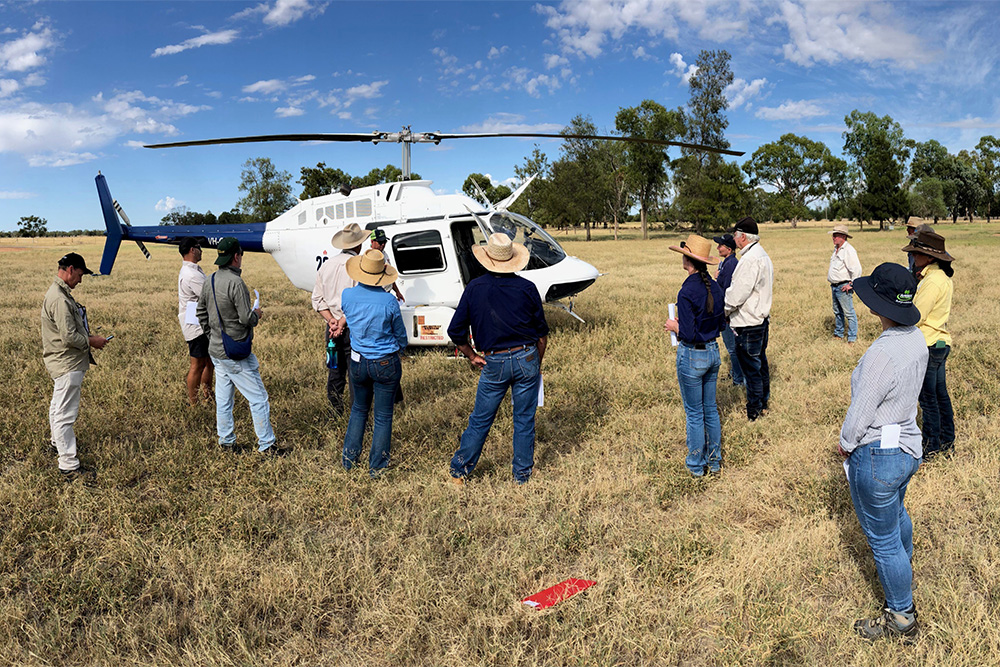 Image of APLC & NSW Local Land Services staff briefing for an aerial exercise