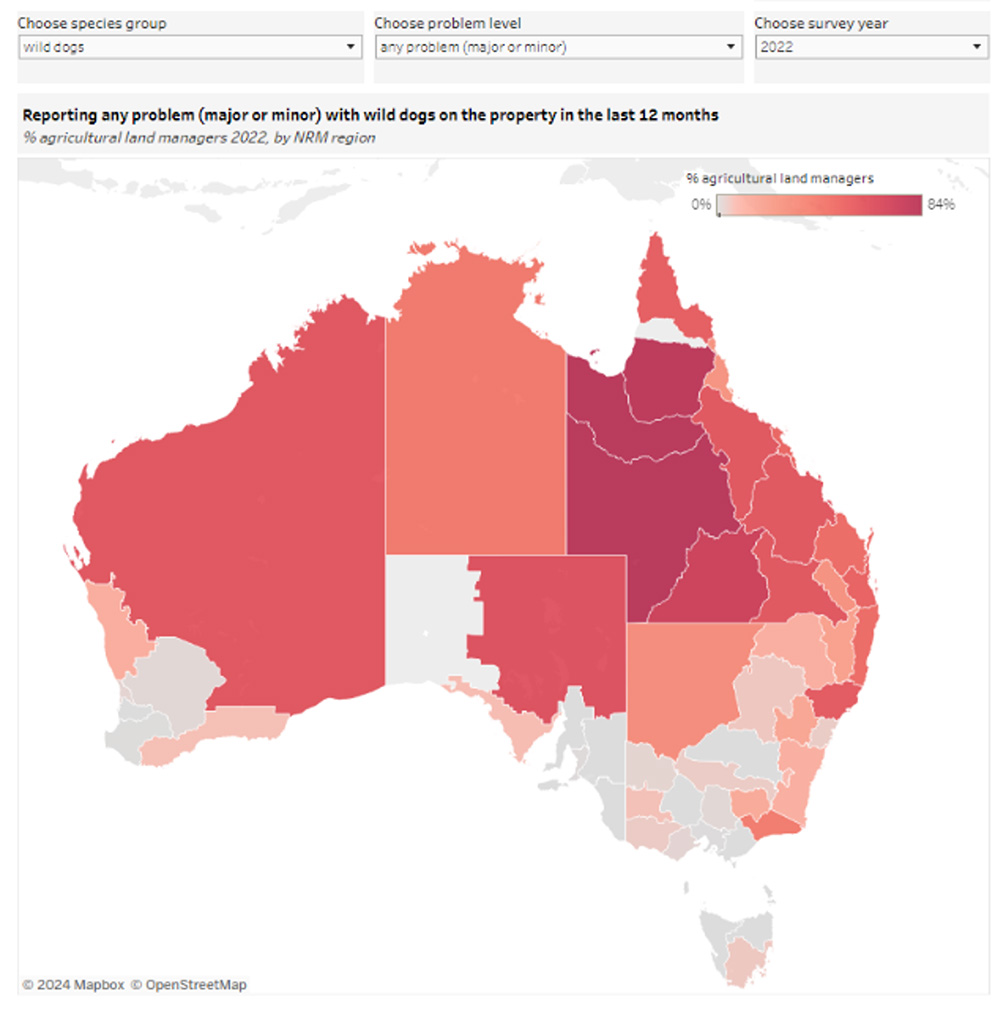 Map indicating percentage of land managers within a Natural Resource Management region reporting problems with wild dogs on their property in 2022. (Scale from 0% (grey) to 84% (darkest red)) 