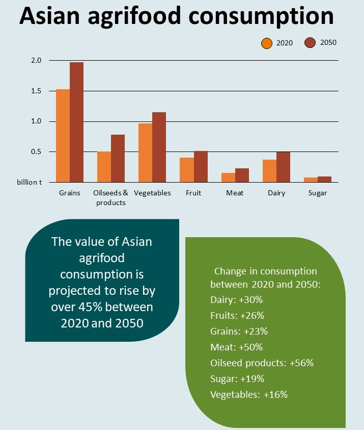 Displayed chart is a bar chart comparing consumption levels of grains, oilseeds & products, vegetables, fruit, meat, dairy, and sugar between 2020 and 2050.  Text in blue box reads: The value of Asian agrifood consumption is projected to rise by over 45% between 2020 and 2050. Text in green box reads: Changes in consumption between 2020 and 2050: dairy +30%, fruits +26%, grains +23%, meat +50%, oilseed products +56%, sugar +19%, vegetables +16%