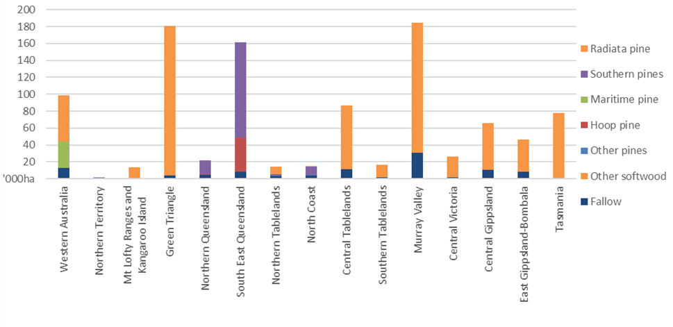 Column graph shows softwood plantations are predominately radiata pine in southern Australia, while southern pines are planted in northern New South Wales and Queensland, hoop pine are planted in Queensland and maritime pine is planted in drier parts of Western Australia