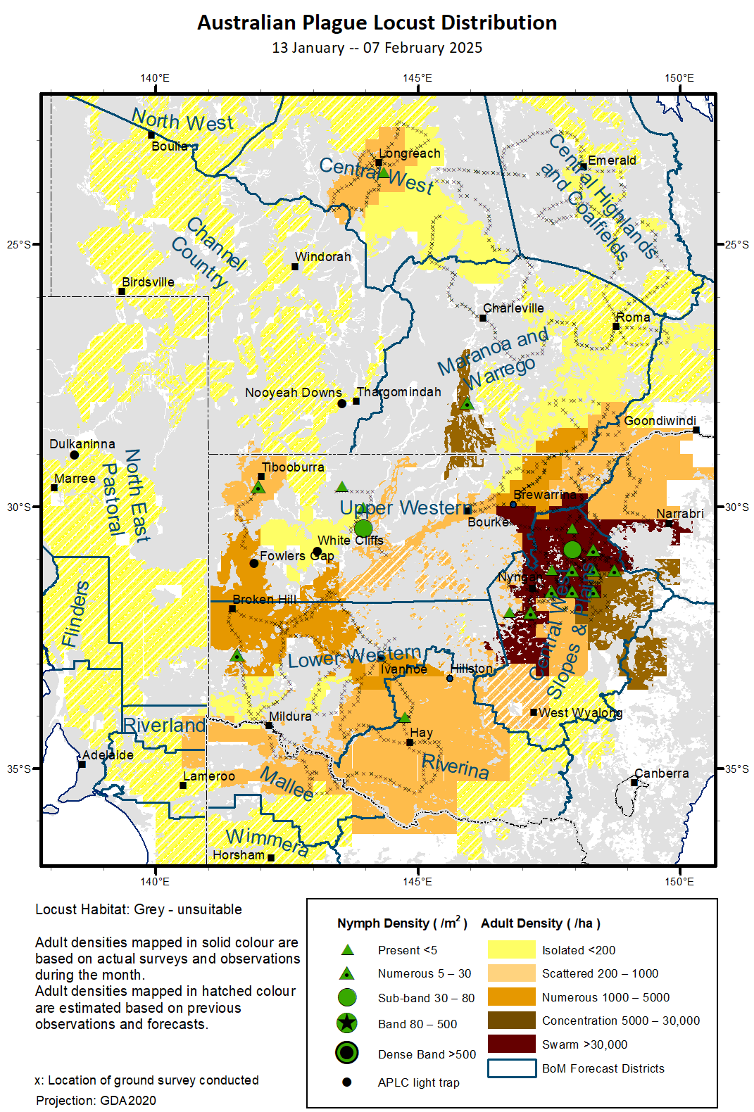 Map of locust distribution for 13 Jan to 7 Feb across Victoria, NSW and Queensland - refer to report for more information