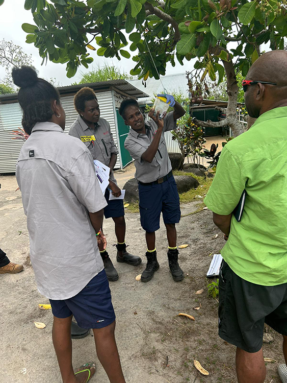 Image of a group of people standing around a tree, with one person demonstrating how to hang a flu trap