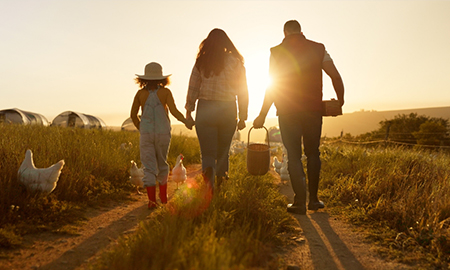 Image of the silhouettes of three people, including a child, walking together, hand in hand, away from the camera; they are in a field with the sun shining and low in the sky