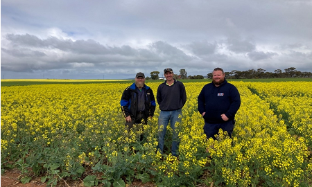 Adrian Bormann, Murray Plains Farmers Treasurer, Steen Paech, Murray Plains Farmers President, and Dan Seidel, Drought Resilience Research and Adoption Hubs Advisory Committee Member, at the canola establishment trial site near Palmer, South Australia (left to right). Photo credit: South Australian Drought Hub.