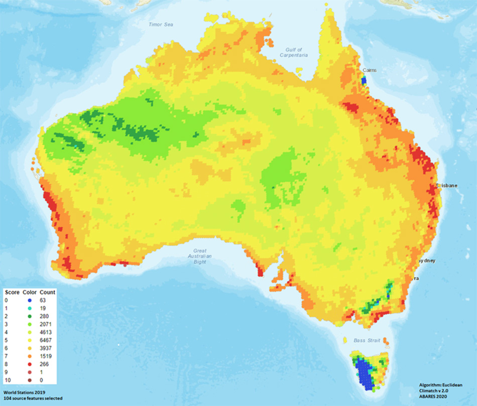 Climatch map in this report shows the areas of climatic suitability for E. fornicatus (PSHB) in Australia.