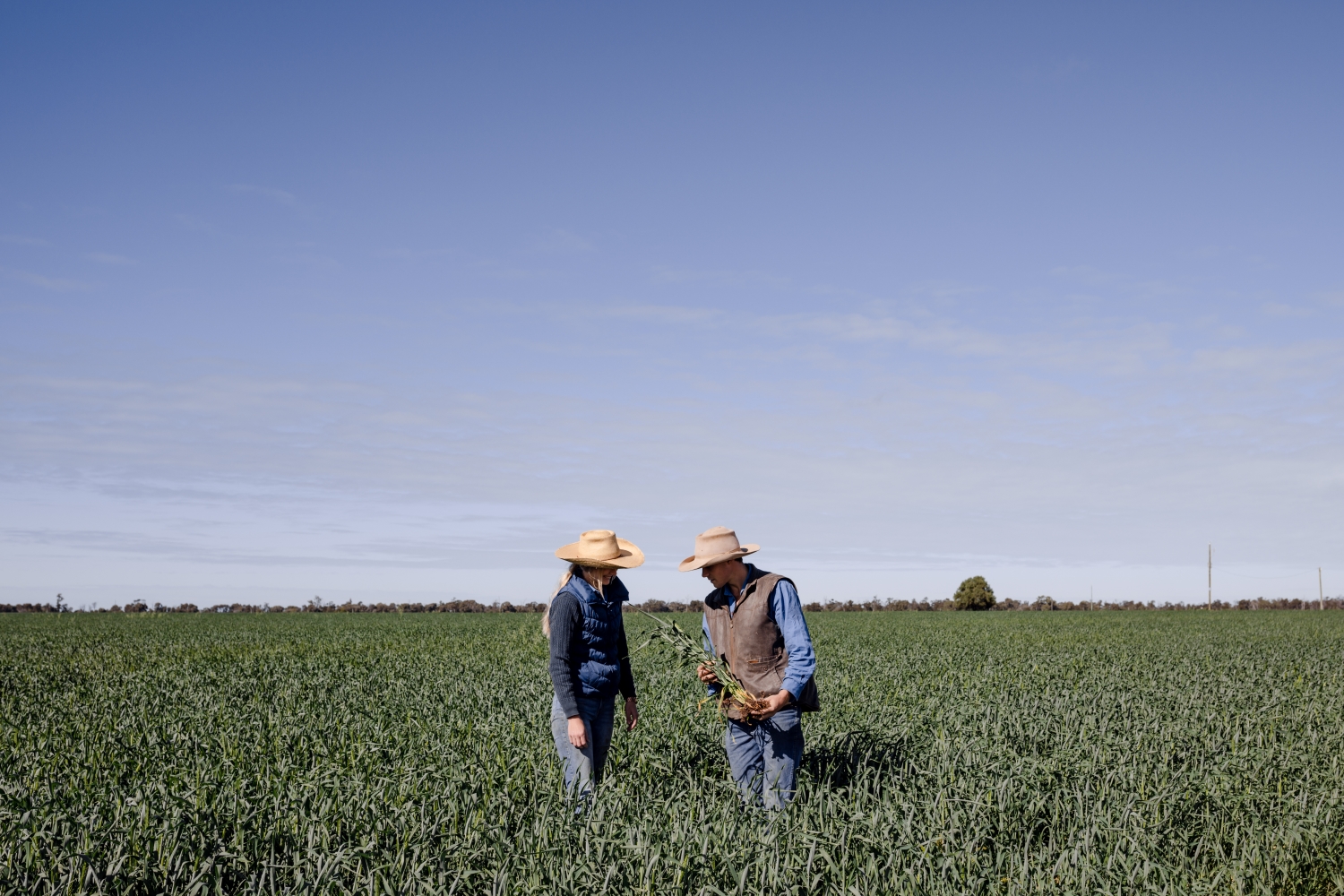 Two people talking in field