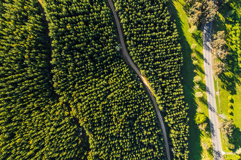 Aerial photo of a field