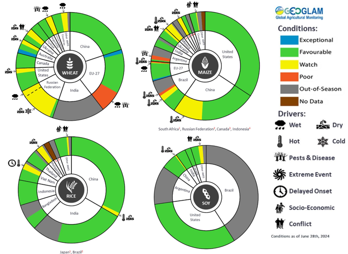 Figure showing wheat, maize, rice and soy conditions for AMIS countries during the previous month. Image provided by AMIS. Please refer to accompanying text for a more detailed description.