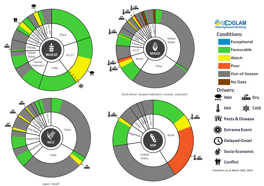 Figure showing wheat, maize, rice and soy conditions for AMIS countries during the previous month. Image provided by AMIS. Please refer to accompanying text for a more detailed description.