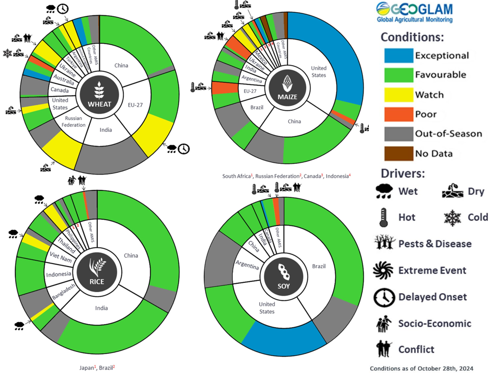 Figure showing wheat, maize, rice and soy conditions for AMIS countries during the previous month. Image provided by AMIS. Please refer to accompanying text for a more detailed description.