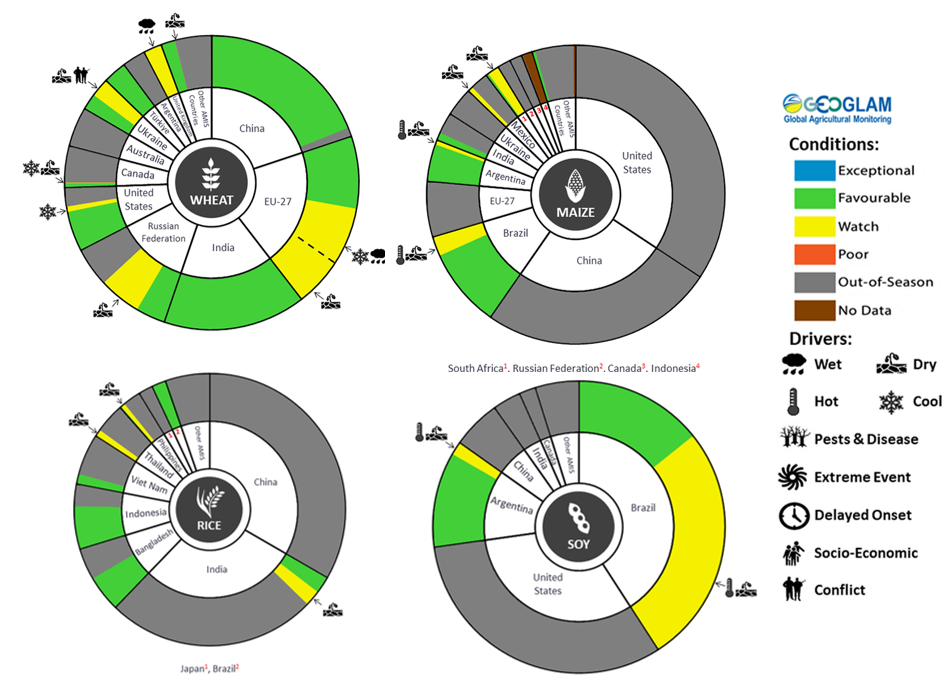 Figure showing wheat, maize, rice and soy conditions for AMIS countries during the previous month. Image provided by AMIS. Please refer to accompanying text for a more detailed description.