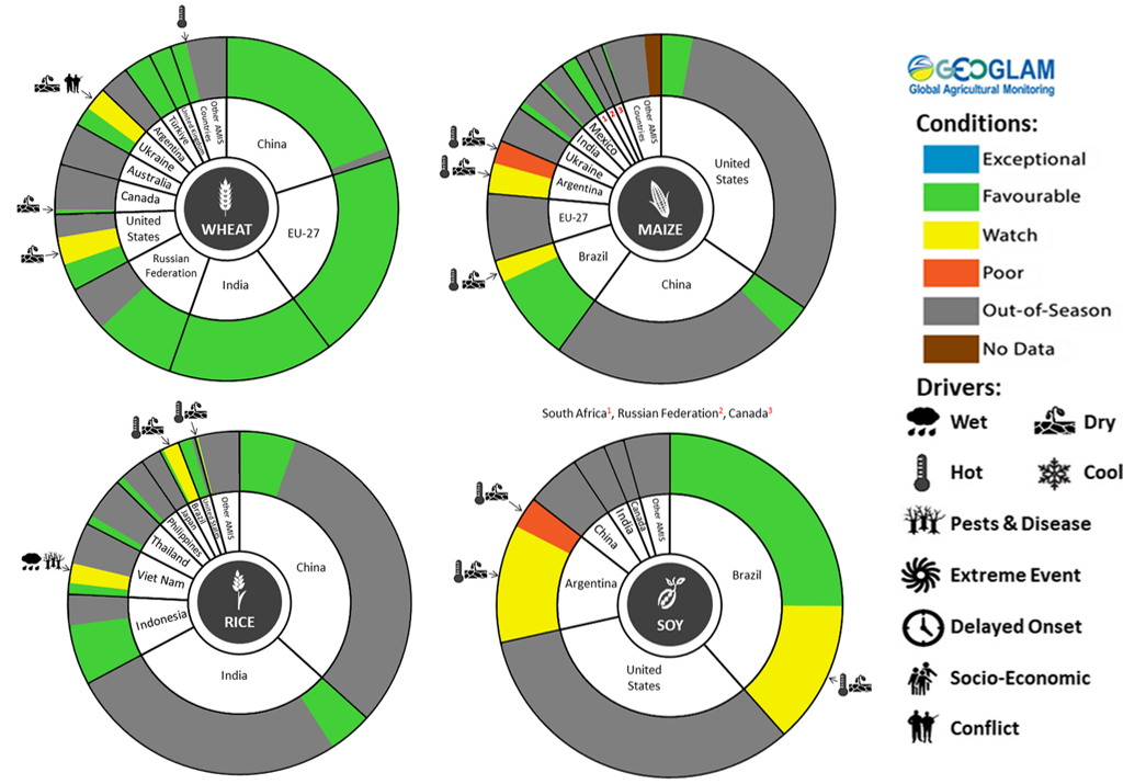 Figure showing wheat, maize, rice and soy conditions for AMIS countries during the previous month. Image provided by AMIS. Please refer to accompanying text for a more detailed description.